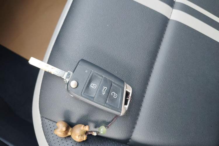 Used Volkswagen T-ROC 2024 300TSI DSG Two-Wheel-Drive Chen Guang Edition Vehicle Key