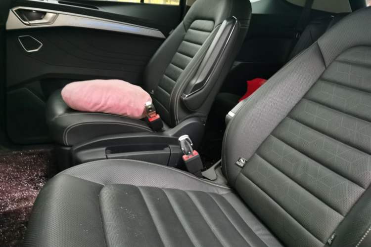 Used Volkswagen Talagon 2021 380TSI Four-Wheel Drive Luxury Premium Edition Pro Left Rear Seat