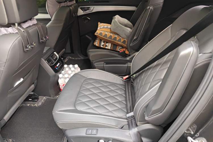 Used Volkswagen Talagon 2025 530TSI Four-Wheel-Drive Flagship Shengjing Pro Shared Edition 6-Seater Left Rear Seat