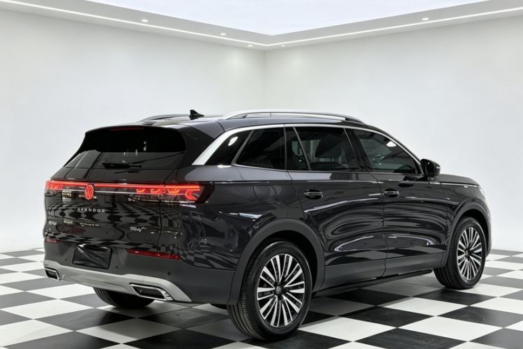 Used Volkswagen Tavendor 2023 330TSI Luxury Touring Edition Exterior 5