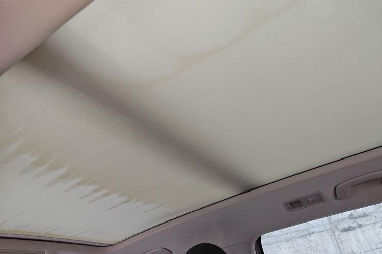 Used Volkswagen Tayron 2020 280TSI Two-Wheel Drive Luxury Connect Edition Headliner