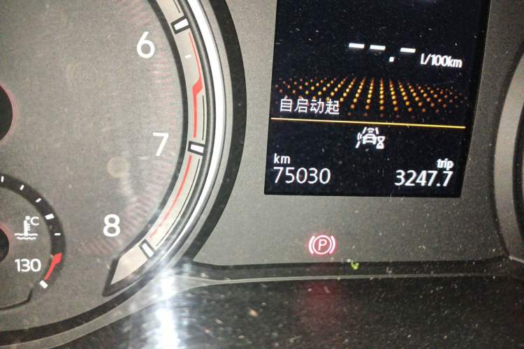 Used Volkswagen Tayron 2019 Teramont Edition 280TSI Two-Wheel Drive Luxury Model China VI Standard Odometer Close Up
