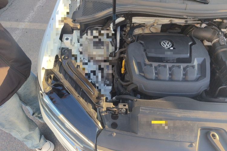 Used Volkswagen Tayron 2019 330TSI Four-Wheel Drive Luxury Version China V Standard Engine Bay Right