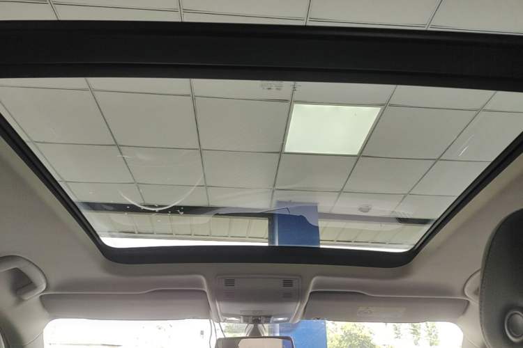 Used Volkswagen Tayron 2019 330TSI Two-Wheel Drive Luxury Model China VI Standard Headliner