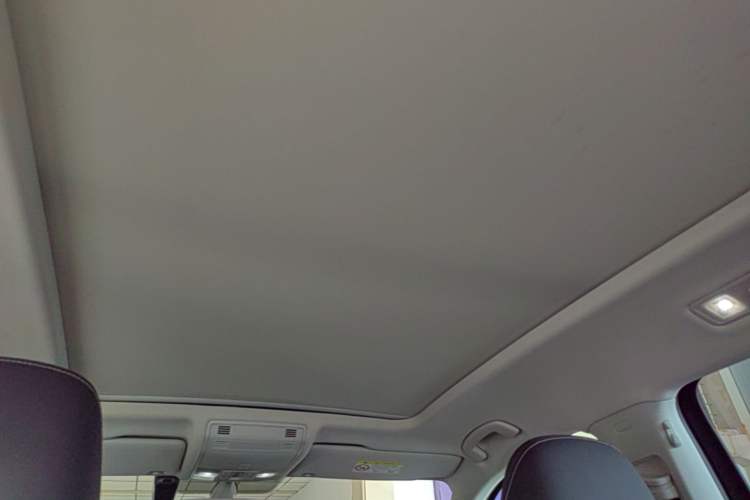 Used Volkswagen Tayron 2020 330TSI Two-Wheel Drive Luxury Smart Connectivity Version Headliner