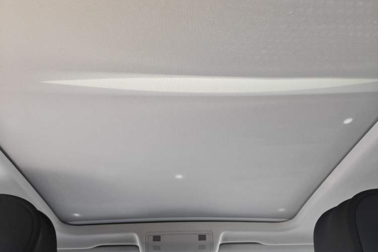 Used Volkswagen Tayron 2020 330TSI Two-Wheel Drive Luxury Smart Connectivity Version Headliner