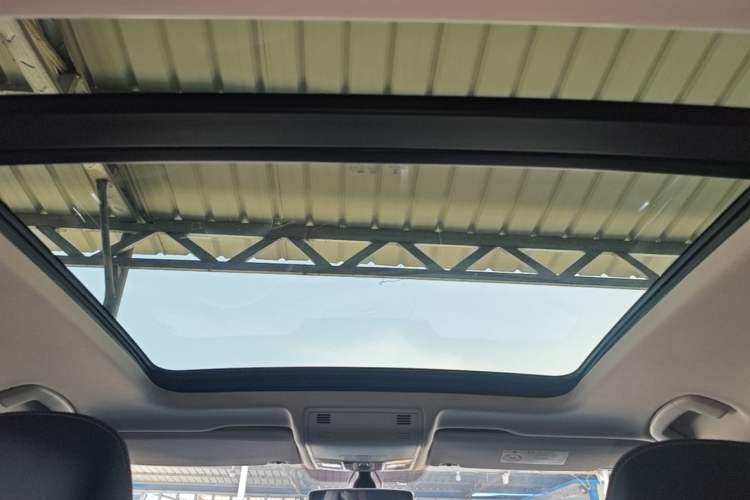 Used Volkswagen Tayron 2020 330TSI Two-Wheel Drive Luxury Smart Connectivity Version Headliner