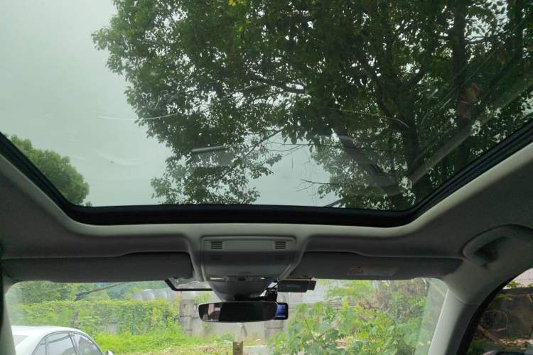 Used Volkswagen Tayron 2020 330TSI Two-Wheel Drive Luxury Connected Pro Edition Headliner