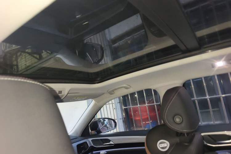 Used Volkswagen Tayron 2020 330TSI Two-Wheel Drive Luxury Smart Connectivity Version Headliner