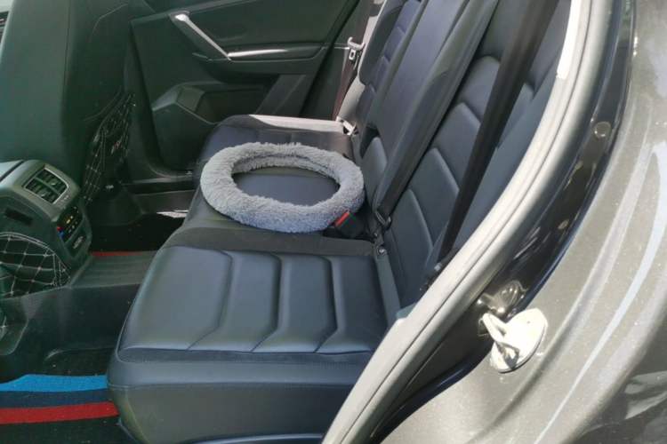 Used Volkswagen Tayron 2020 280TSI Two-Wheel Drive Luxury Connect Edition Left Rear Seat
