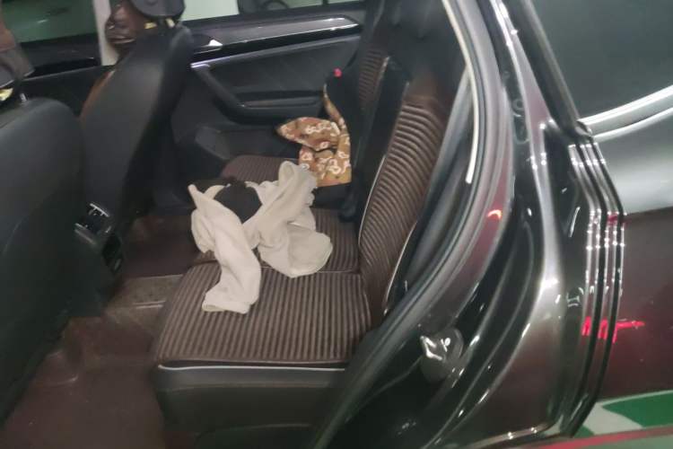 Used Volkswagen Tayron 2020 330TSI Two-Wheel Drive Luxury Connected Pro Edition Left Rear Seat