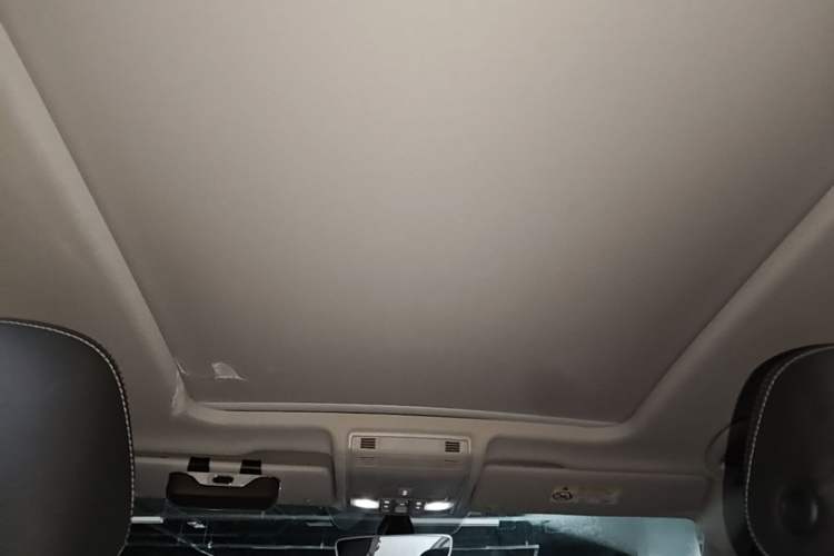 Used Volkswagen Tayron 2020 330TSI Two-Wheel Drive Luxury Smart Connectivity Version Headliner