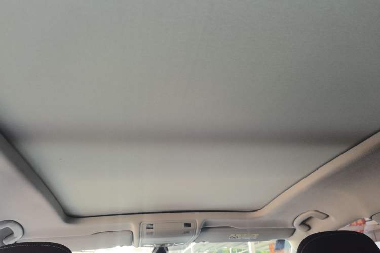 Used Volkswagen Tayron 2020 330TSI Two-Wheel Drive Luxury Smart Connectivity Version Headliner
