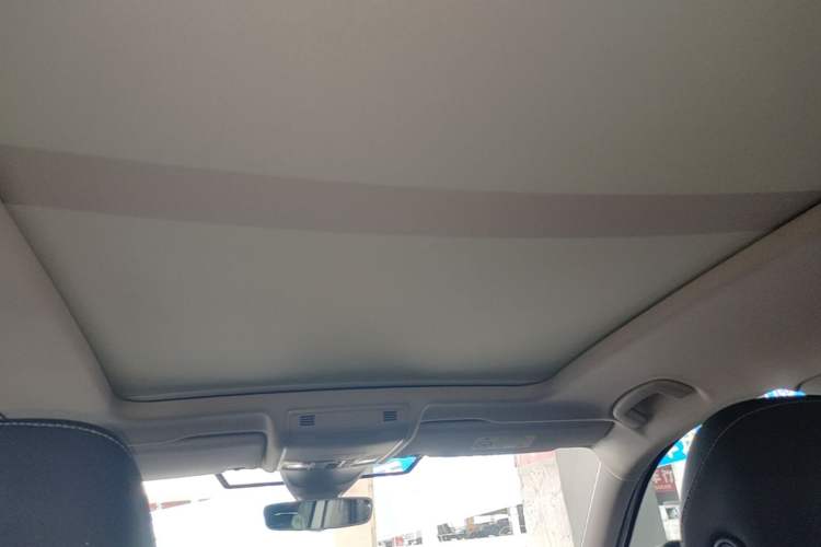 Used Volkswagen Tayron 2020 330TSI Two-Wheel Drive Luxury Connected Pro Edition Headliner