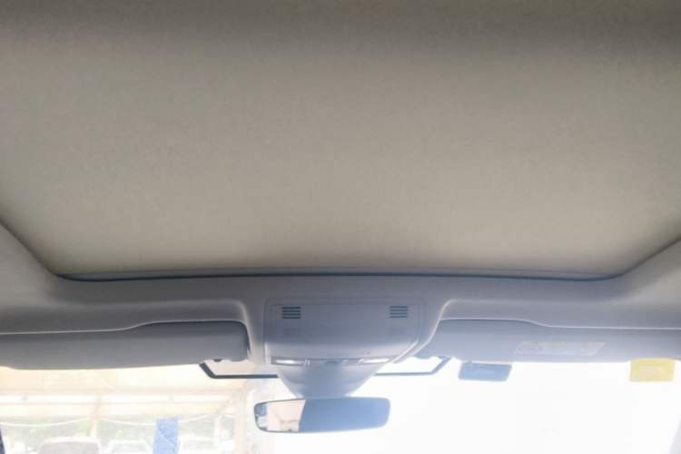 Used Volkswagen Tayron 2020 330TSI Two-Wheel Drive Luxury Connected Pro Edition Headliner