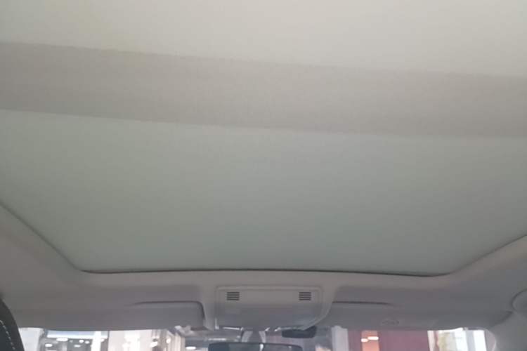Used Volkswagen Tayron 2020 280TSI Two-Wheel Drive Luxury Connect Edition Headliner