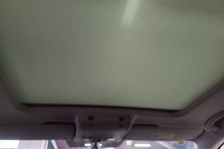 Used Volkswagen Tayron 2021 330TSI Two-Wheel Drive Luxury Smart Connectivity Version Headliner