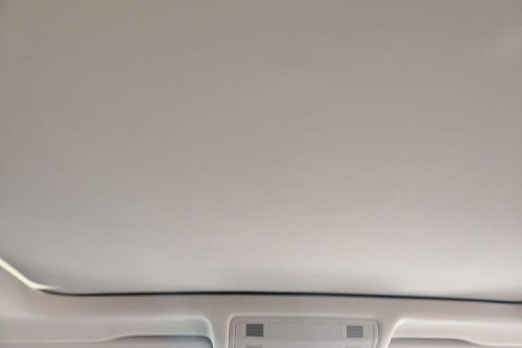 Used Volkswagen Tayron 2021 280TSI Two-Wheel Drive Luxury Smart Connectivity Version Headliner