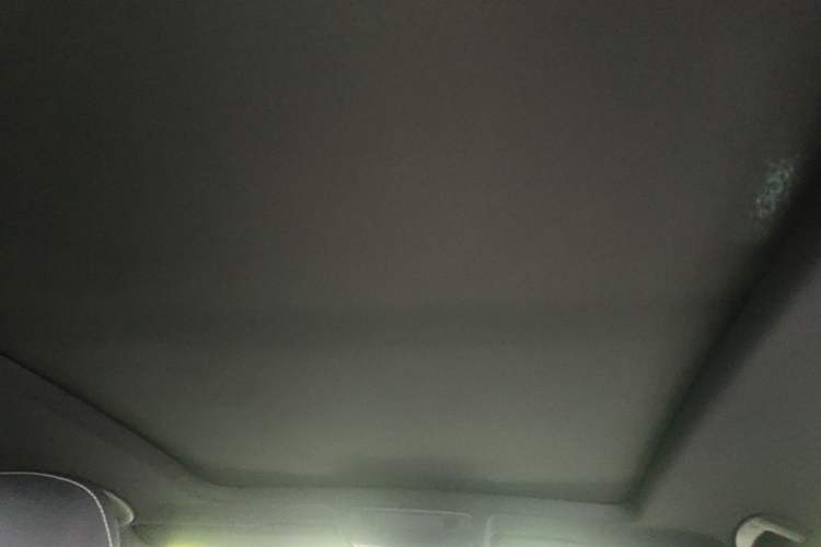 Used Volkswagen Tayron 2021 380TSI All-Wheel Drive R-Line Connected Version Headliner