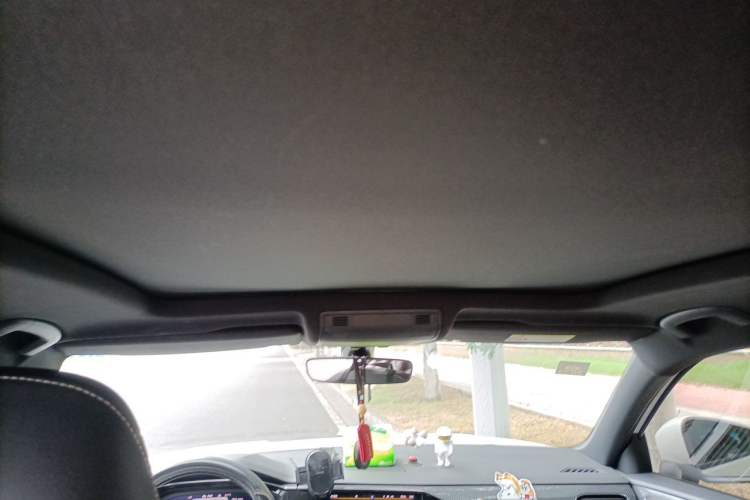 Used Volkswagen Tayron 2022 380TSI Four-Wheel Drive R-Line Connected Version Headliner