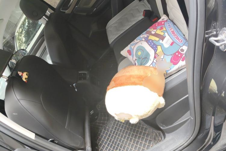 Used Volkswagen Tayron 2025 Zhongxiang Version 300TSI Left Rear Seat