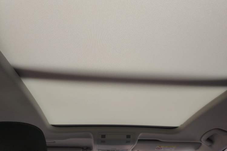 Used Volkswagen Tayron X 2020 330TSI Two-Wheel Drive Luxury Smart Connectivity Version Headliner