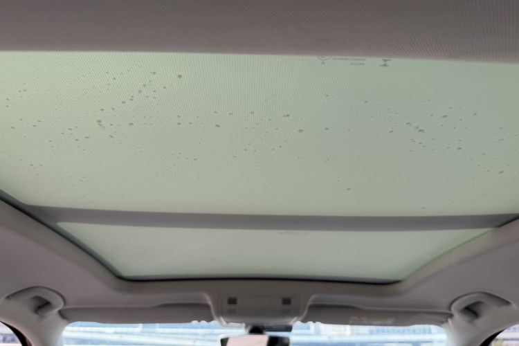 Used Volkswagen Tayron X 2020 330TSI Two-Wheel Drive Luxury Smart Connectivity Version Headliner