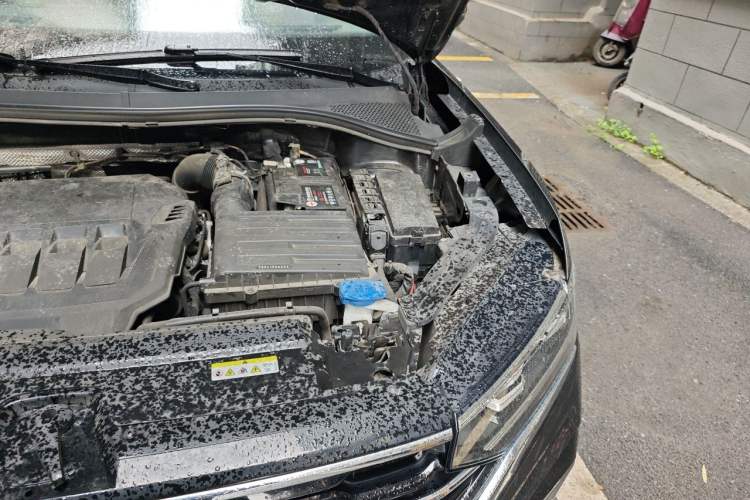 Used Volkswagen Tayron X 2020 330TSI Two-Wheel Drive Luxury Smart Connectivity Version Engine Bay Left