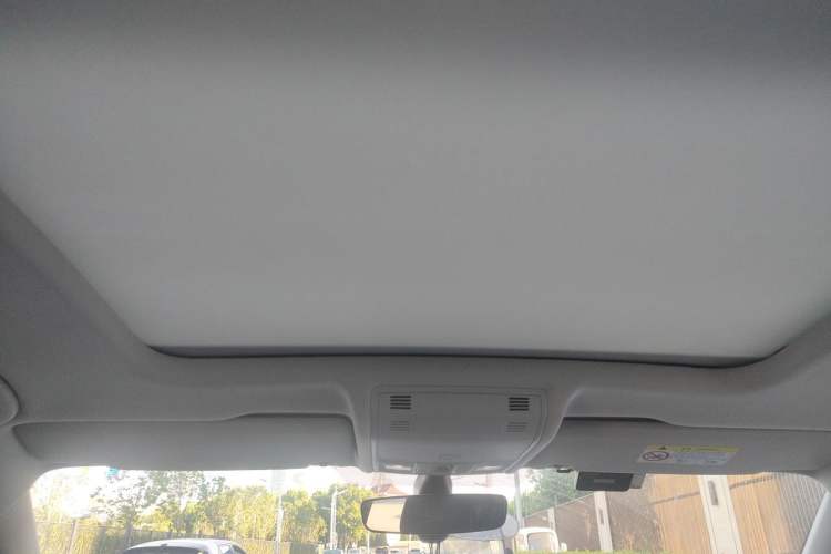 Used Volkswagen Tayron X 2020 330TSI Two-Wheel Drive Luxury Smart Connectivity Version Headliner