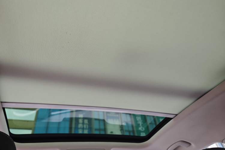 Used Volkswagen Tayron X 2020 330TSI Two-Wheel Drive Luxury Smart Connectivity Version Headliner