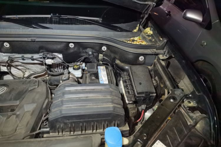 Used Volkswagen Teramont 2017 330TSI Two-Wheel-Drive Flagship Edition Engine Bay Left