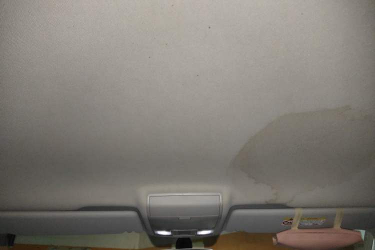 Used Volkswagen Teramont 2017 380TSI Four-Wheel Drive Comfort Edition Headliner