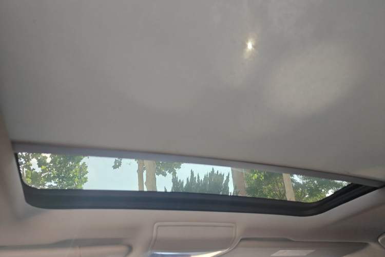 Used Volkswagen Teramont  Headliner