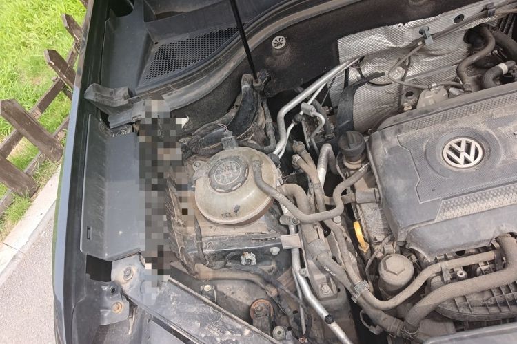 Used Volkswagen Teramont 2020 Revised Version 380TSI Four-Wheel Drive Luxury Edition Engine Bay Right