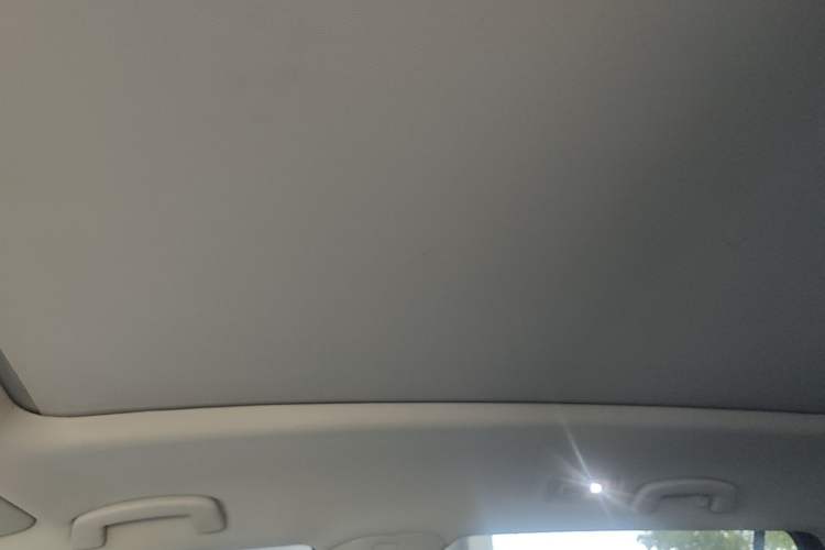 Used Volkswagen Teramont 2020 380TSI Four-Wheel Drive Luxury Version China VI Standard Headliner