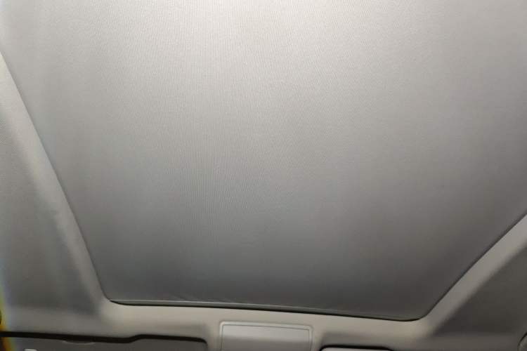 Used Volkswagen Teramont 2020 330TSI Two-Wheel-Drive Luxury Edition China VI Standard Headliner