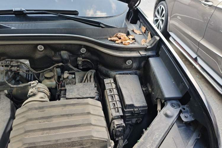 Used Volkswagen Teramont 2021 330TSI Two-Wheel-Drive Prestige Luxury Edition Engine Bay Left