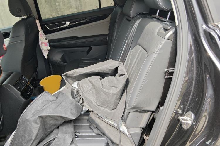Used Volkswagen Teramont 2021 330TSI Two-Wheel-Drive Prestige Luxury Edition Left Rear Seat