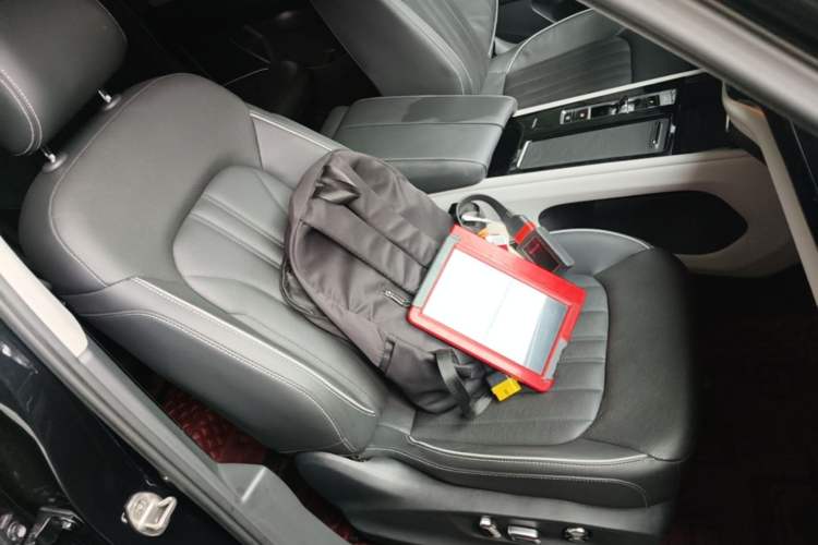 Used Volkswagen Teramont 2021 330TSI Two-Wheel-Drive Prestige Luxury Edition Right Front Seat