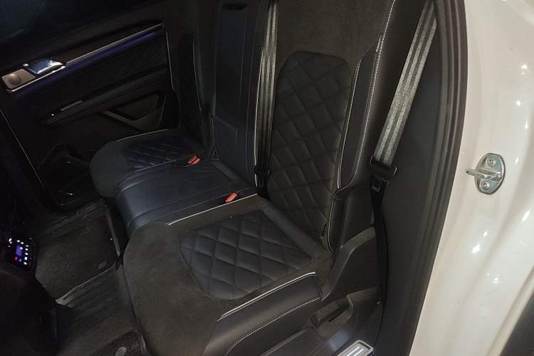 Used Volkswagen Teramont X 2019 380TSI Four-Wheel Drive Prestige Luxury Edition Left Rear Seat