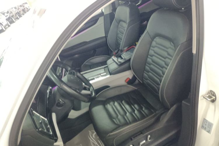 Used Volkswagen Teramont X 2021 330TSI Two-Wheel-Drive Prestige Luxury Edition Left Front Seat