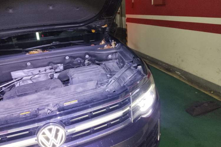 Used Volkswagen Teramont X 2023 380TSI Four-Wheel Drive Prestige Luxury Edition Engine Bay Left