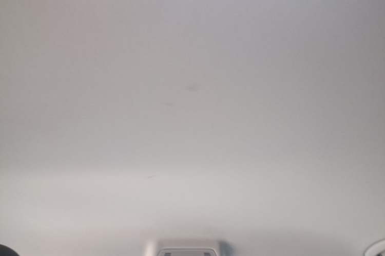 Used Volkswagen Teramont X 2024 380TSI Four-Wheel Drive Luxury Edition Headliner
