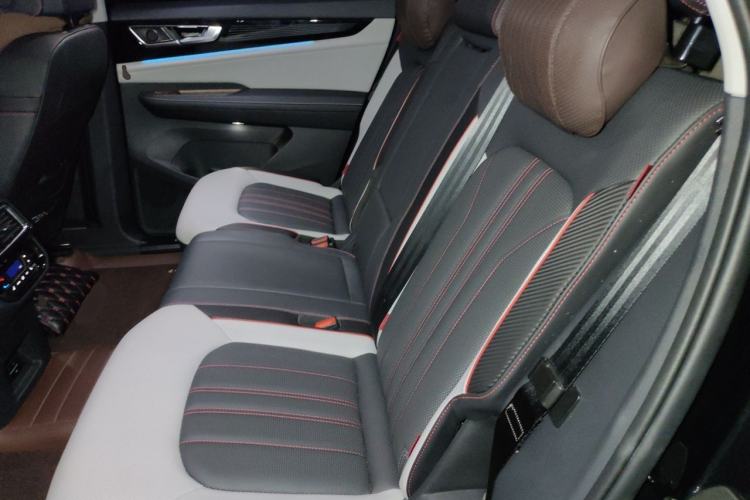 Used Volkswagen Teramont X 2024 380TSI All-Wheel Drive Longyao Edition Left Rear Seat