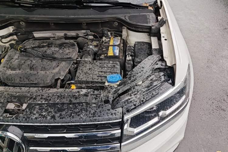 Used Volkswagen Tharu 2019 330TSI Four-Wheel Drive Luxury Edition China VI Standard Engine Bay Left