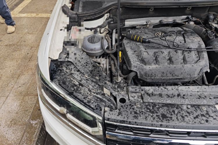 Used Volkswagen Tharu 2019 330TSI Four-Wheel Drive Luxury Edition China VI Standard Engine Bay Right