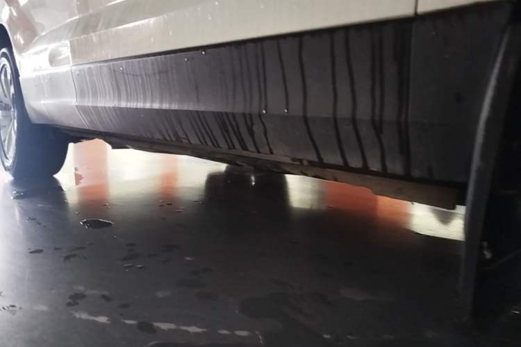 Used Volkswagen Tharu 2019 280TSI Two-Wheel Drive Comfort Edition China VI Standard Right Side Sill
