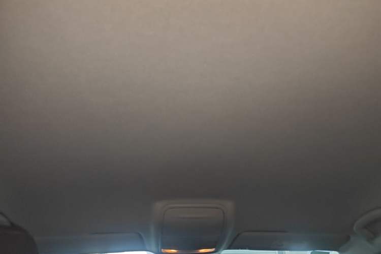 Used Volkswagen Tharu 2020 280TSI Two-Wheel Drive Trend Edition China VI Standard Headliner