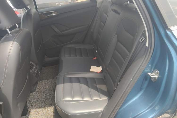Used Volkswagen Tharu 2020 280TSI Two-Wheel Drive Luxury Edition China VI Standard Left Rear Seat