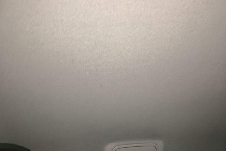 Used Volkswagen Tharu 2020 280TSI Two-Wheel Drive Trend Edition China VI Standard Headliner